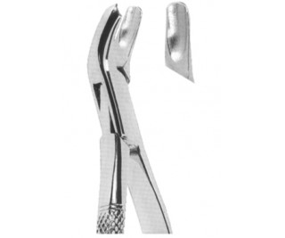 Extracting Forceps American pattern